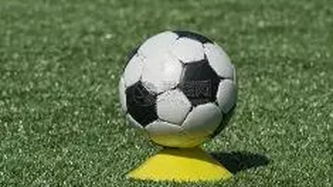 亚博体彩 产品 012122 rpk