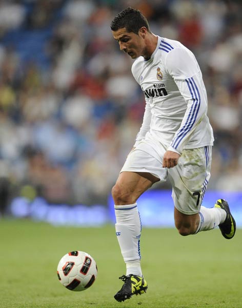 止步埋下了 止步埋下了